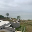 카페보리 이미지