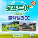 블랙밸리 컨트리클럽 | 강원도 삼척 블랙밸리cc 가성비 좋아서 또 찾는 여름 피서 골프장