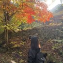 록희 | 록희 일상: 계룡산 동학사~관음봉 1코스 후기