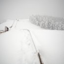 행은목장 이미지