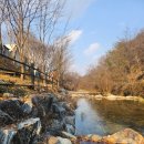 충청도글램핑, 계룡산글램핑 동월숲 겨울철글램핑 여행후기