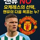 욘가 이미지