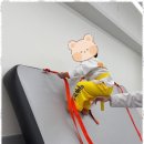 운암태권도 이미지
