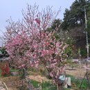 정선영농장 이미지