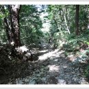 오방길(산성길) 이미지