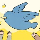 파랑새정원 이미지