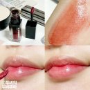 딘토 블러글로이 틴트 209 피데스 웜톤 찰떡후기입니다
