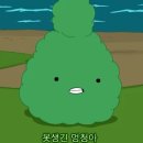 거랑 Daum카페