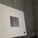 에이스안경콘택트 이미지