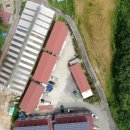 안성태양광발전소 이미지