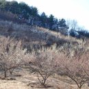 덕곡농장 이미지