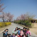 아이뜰어린이집 - 평택시 | 아이뜰어린이집