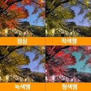 룩스토어수성중동점 이미지