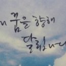 머리세상 이미지