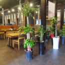 계백수산 네이버블로그