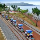 신비바이크 이미지