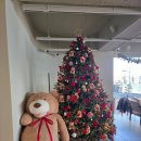 카페리코 | 광안리 오션뷰 대형 카페 리코리카 내돈내산 후기