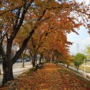 늠내길5코스 정왕둘레길 이미지