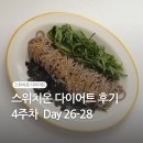 스위치온 다이어트 후기 4주차 26일차 27일차 28일차 일상 기록