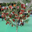 찾아가는 아라가야 문해교실 | 2018년 찾아가는 아라가야 문해교실 문해한마당