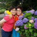 함박꽃민속촌 이미지