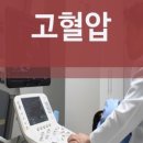 뉴하트의원 이미지