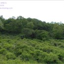 옥천군안남면지수보건진료소 이미지