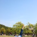 봉황태권도장 이미지