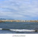 고래정원 이미지