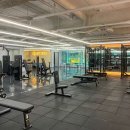 윌 휘트니스 이미지