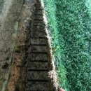 장흥생활체육공원 이미지