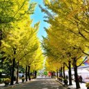 진옥농장 이미지