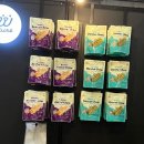 동그라미펫 이미지