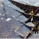 일종수산 이미지