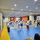 용인대스카이태권도 이미지