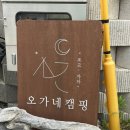 [제천]역대급 깨끗함과 친절함의 절정 ✨오가네캠핑장✨