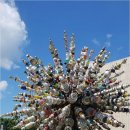 꽃이될개 이미지