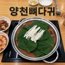 양천뼈다귀 - 양천구 | 오목교 뼈다귀 전골 맛집🍲 양천뼈다귀 재방문 후기