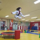 골든킥 태권도 유아체육 이미지