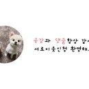 호텔미드멜리 이미지