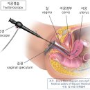 모태안여성병원 이미지