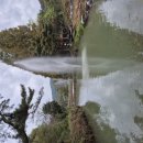 서촌농장 이미지