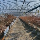 참살이농장 이미지