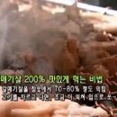 진주맛집(평안동) '전통숯불구이'(갈매기살) 이미지