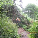 매봉약수터 이미지