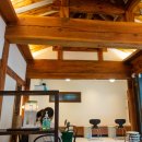 나무사이로 이미지