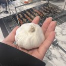 신화양꼬치 이미지
