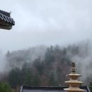 유형문화재 이미지