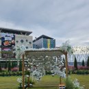 금산관광안내소 | [충남|금산] 부모님 모시고 가기 좋은 충남 이색축제 금산 인삼축제 일정, 먹거리 후기
