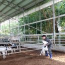 새누리목장 이미지